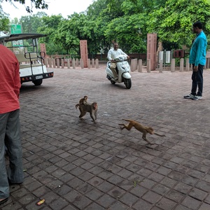 IMG_20190708_073832.jpg